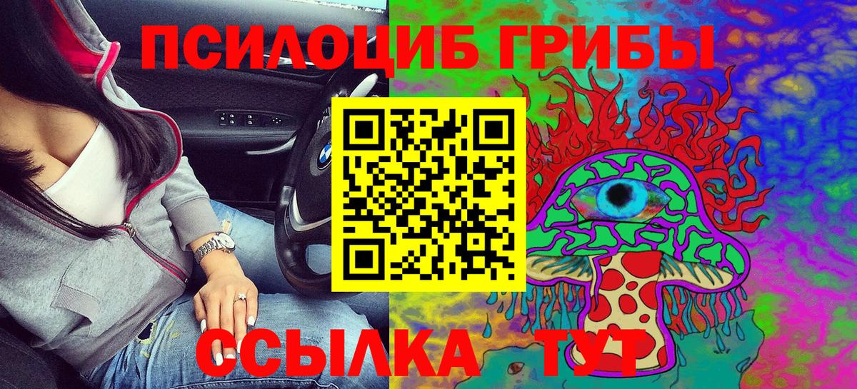 Псилоцибиновые грибы GOLDEN TEACHER Выборг